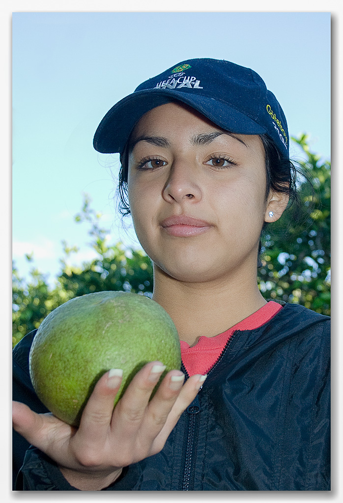Stora mangon